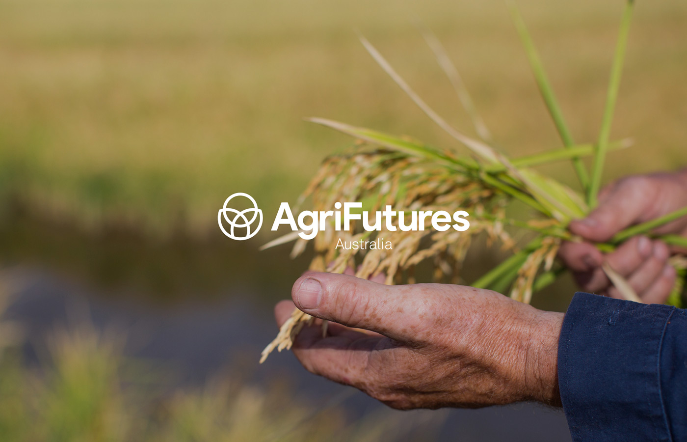 AgriFutures Brand Development